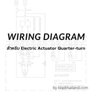หัวขับลม หัวขับไฟฟ้า Wiring Diagram สําหรับ Electric Actuator Quarter turn